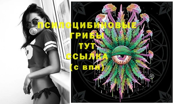 мяу мяу мука Абинск