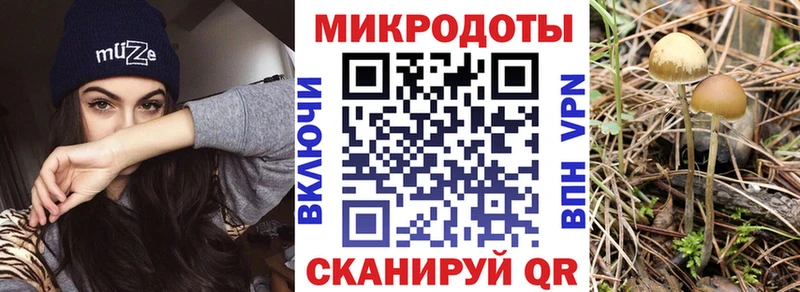 Галлюциногенные грибы мицелий  Катав-Ивановск 